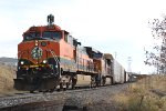 BNSF 1041 - DDCDEN